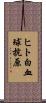 ヒト白血球抗原 Scroll