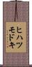 ヒハツモドキ Scroll