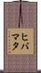 ヒバマタ Scroll