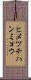 ヒメツチハンミョウ Scroll