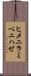 ヒメニラミベニハゼ Scroll