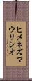 Jimenez Mauricio Scroll