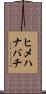 ヒメハナバチ Scroll
