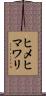 ヒメヒマワリ Scroll
