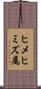 ヒメヒミズ属 Scroll