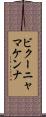 ビクーニャマケンナ Scroll