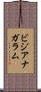 ビジアナガラム Scroll