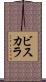 Vizcarra Scroll
