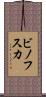 ビノフスカ Scroll