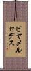 ビヤメルセデス Scroll