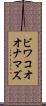 ビワコオオナマズ Scroll