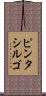 ピンタシルゴ Scroll