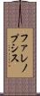 ファレノプシス Scroll