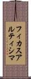 フィカス・アルティシマ Scroll
