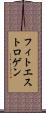 フィトエストロゲン Scroll