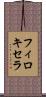 フィロキセラ Scroll