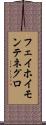 フェイホイモンテネグロ Scroll