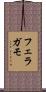 フェラガモ Scroll