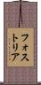 フォストリア Scroll