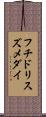 フチドリスズメダイ Scroll