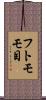 フトモモ目 Scroll