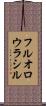 フルオロウラシル Scroll
