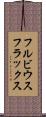 フルビウスフラックス Scroll