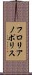 フロリアノポリス Scroll