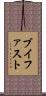 ブイファスト Scroll