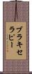 ブラキセラピー Scroll