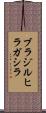 ブラジルヒラガシラ Scroll