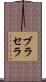 ブラセラ Scroll