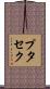 プタセク Scroll