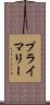 プライマリー Scroll