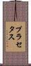 プラセタス Scroll
