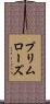 プリムローズ Scroll