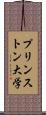 プリンストン大学 Scroll