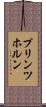 プリンツホルン Scroll