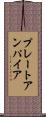 プレート・アンパイア Scroll