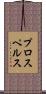 プロスペルス Scroll