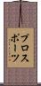 プロスポーツ Scroll