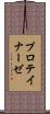 プロテイナーゼ Scroll