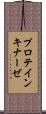 プロテイン・キナーゼ Scroll