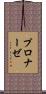 プロナーゼ Scroll