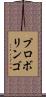 プロボリンゴ Scroll