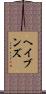 Havens Scroll