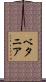 ベタニア Scroll