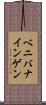 ベニバナインゲン Scroll