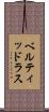 ベルティッドラス Scroll