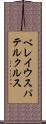 ベレイウスパテルクルス Scroll